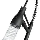Torneira Gourmet Flexivel C/ Saída Para Filtro Monocomando Preta Q/F